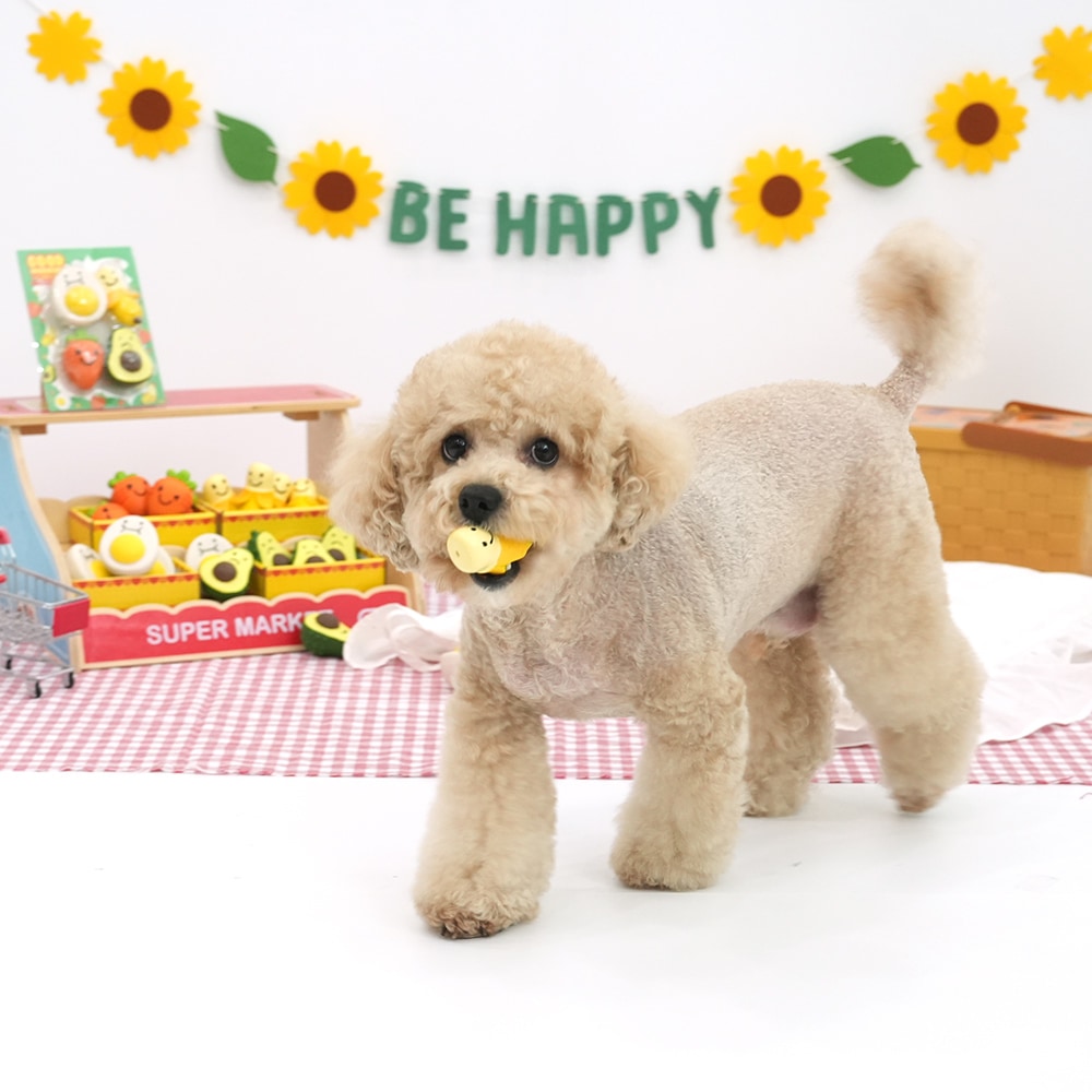 19. PEANUTS VINTAGE COLOR STRIPE T SHIRT 首圖