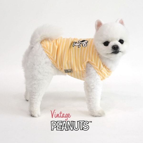 19. PEANUTS VINTAGE COLOR STRIPE T SHIRT 首圖