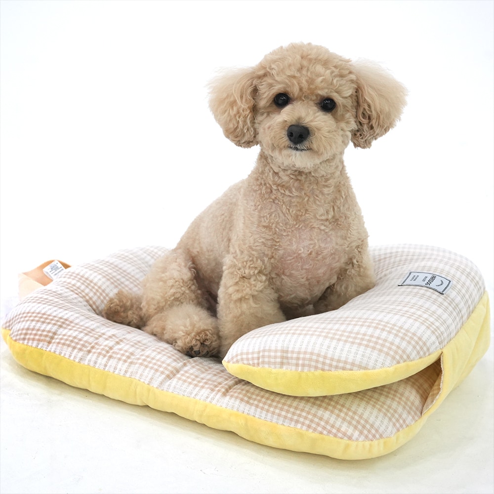 39. ALL DAY CAR SEAT-廣