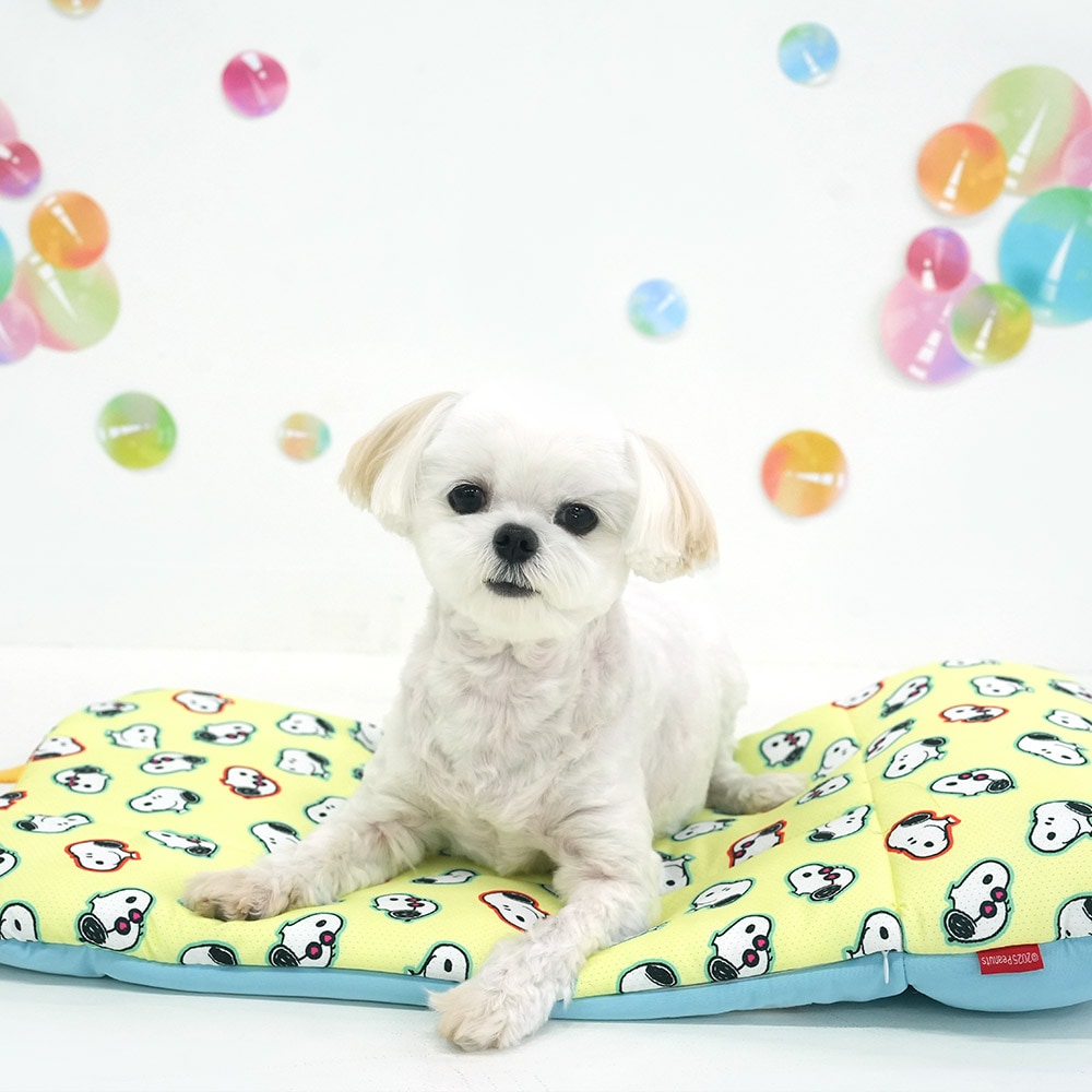 39. ALL DAY CAR SEAT-廣