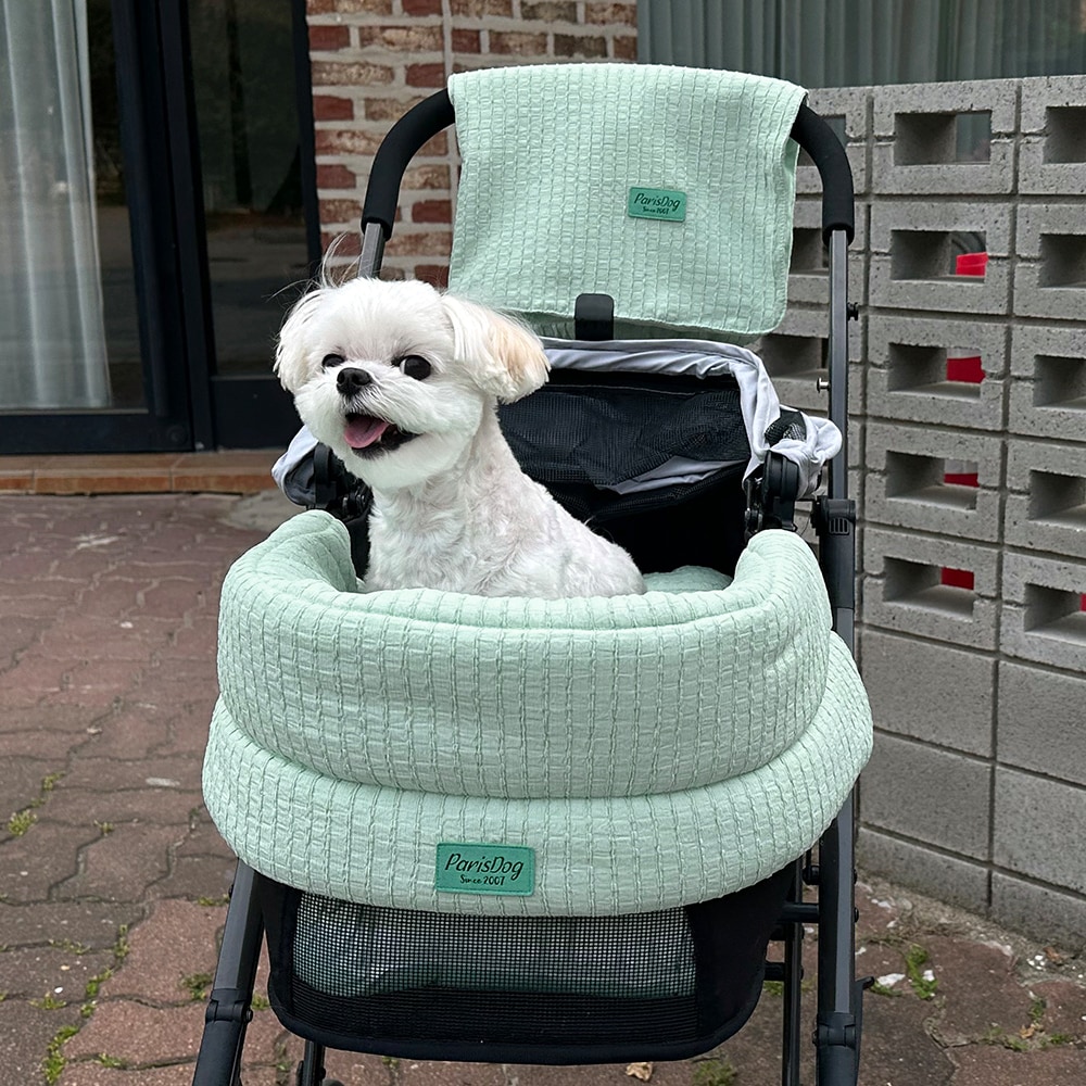 39. ALL DAY CAR SEAT-廣