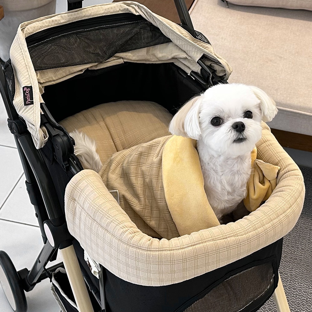 39. ALL DAY CAR SEAT-廣