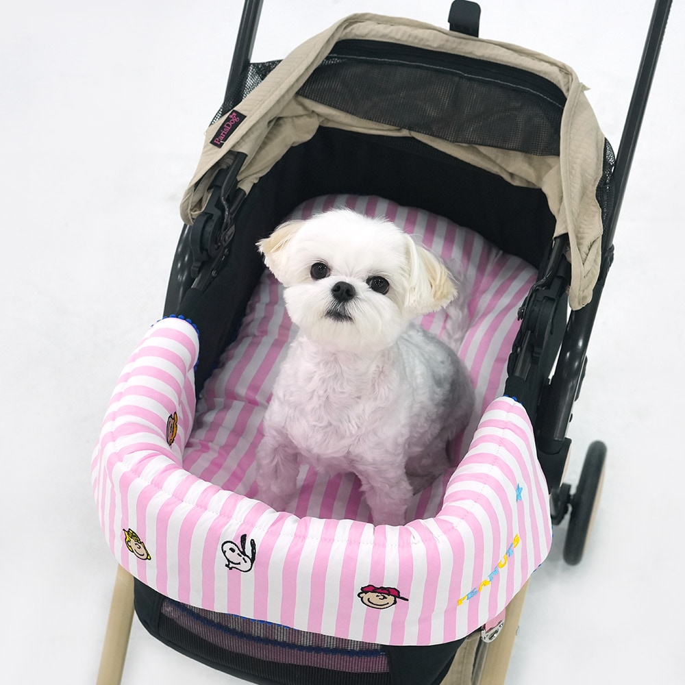 39. ALL DAY CAR SEAT-廣