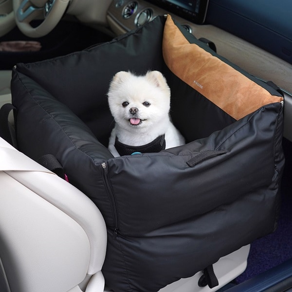 39. ALL DAY CAR SEAT 首圖