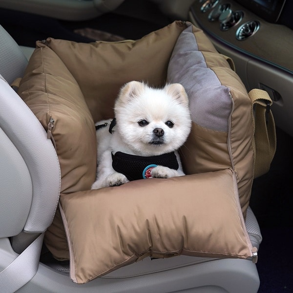 40. PETIT ALL DAY CAR SEAT 首圖