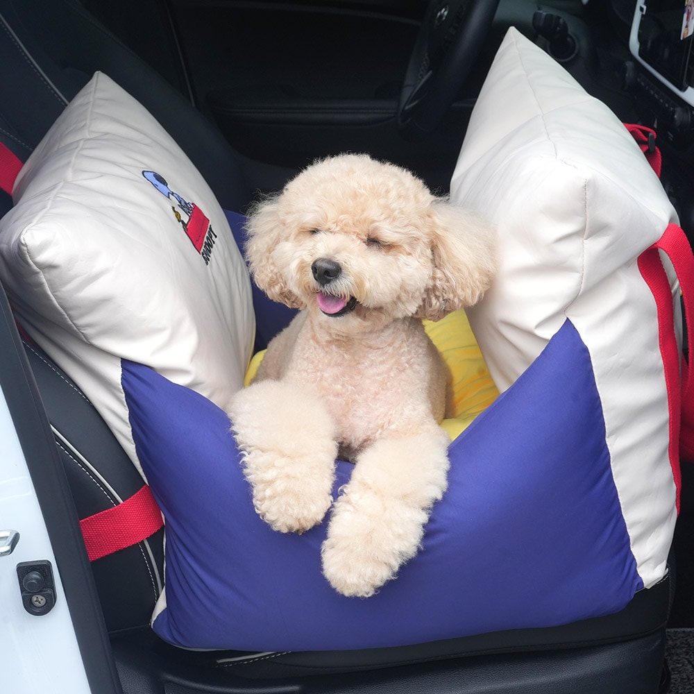 40. PETIT ALL DAY CAR SEAT 首圖