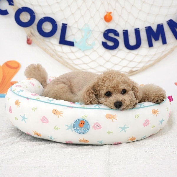 37. BEAR COOL REVERSIBLE BED 首圖