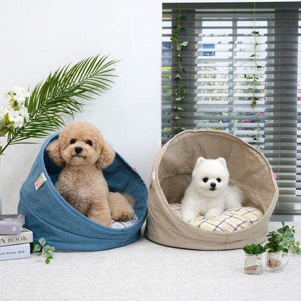37. BEAR COOL REVERSIBLE BED 首圖
