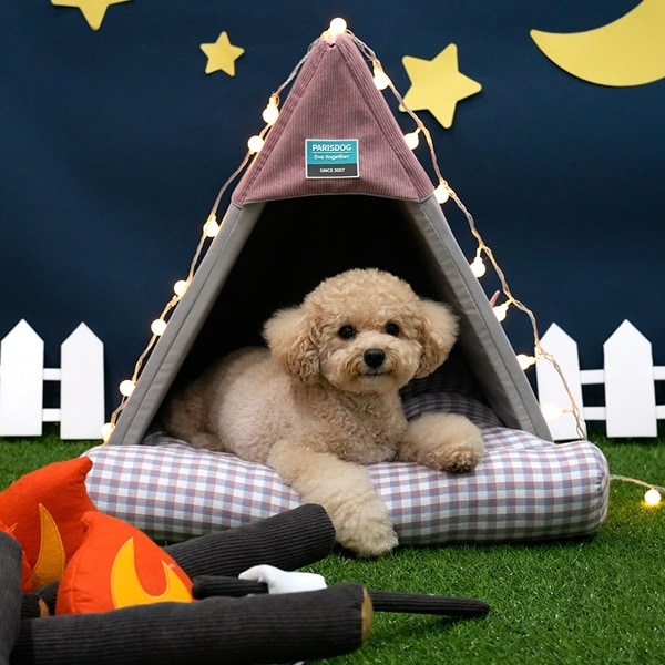 37. BEAR COOL REVERSIBLE BED 首圖