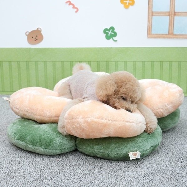 37. BEAR COOL REVERSIBLE BED 首圖