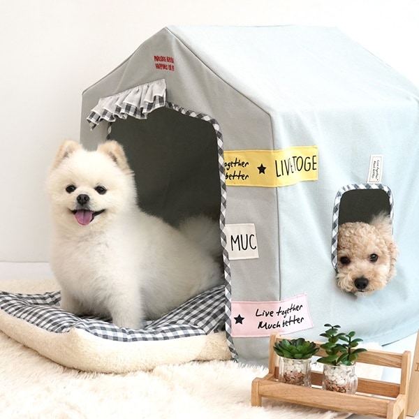 37. BEAR COOL REVERSIBLE BED 首圖