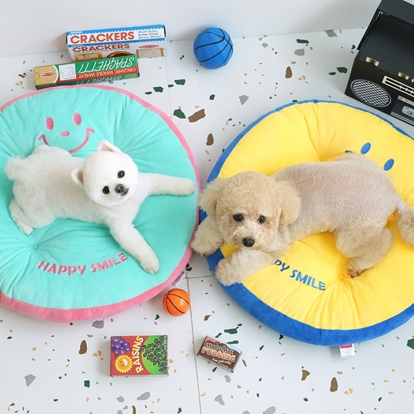 37. BEAR COOL REVERSIBLE BED 首圖