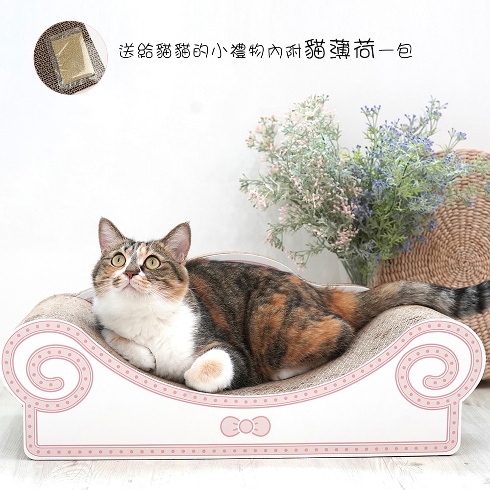 37. BEAR COOL REVERSIBLE BED 首圖