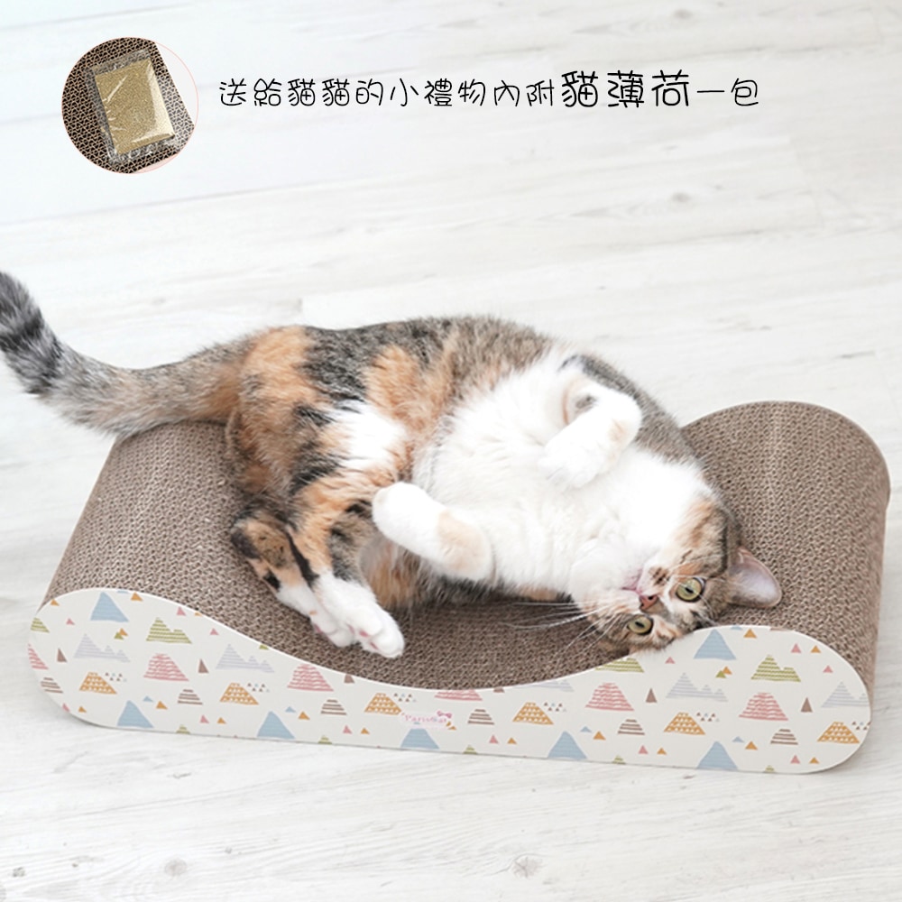 37. BEAR COOL REVERSIBLE BED 首圖