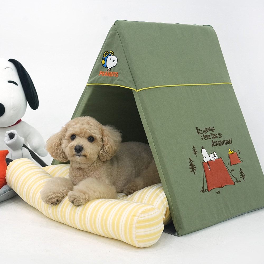 37. BEAR COOL REVERSIBLE BED 首圖 37. BEAR COOL REVERSIBLE BED 首圖