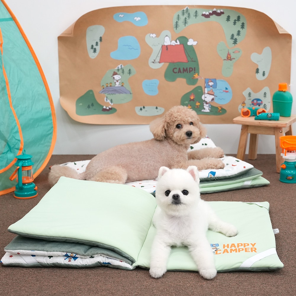 37. BEAR COOL REVERSIBLE BED 首圖