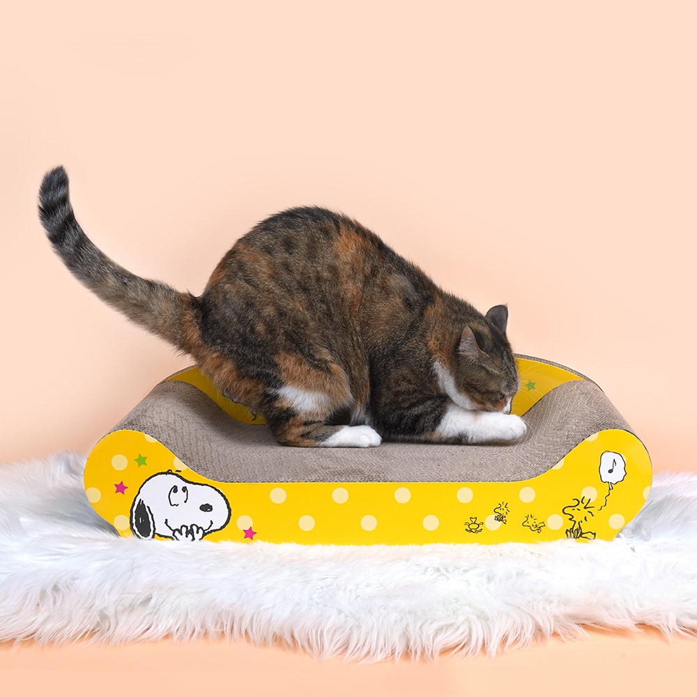 37. BEAR COOL REVERSIBLE BED 首圖