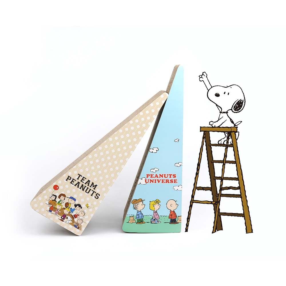 37. BEAR COOL REVERSIBLE BED 首圖