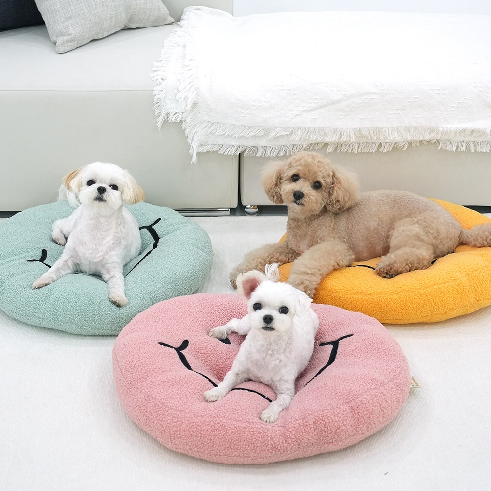 37. BEAR COOL REVERSIBLE BED 首圖