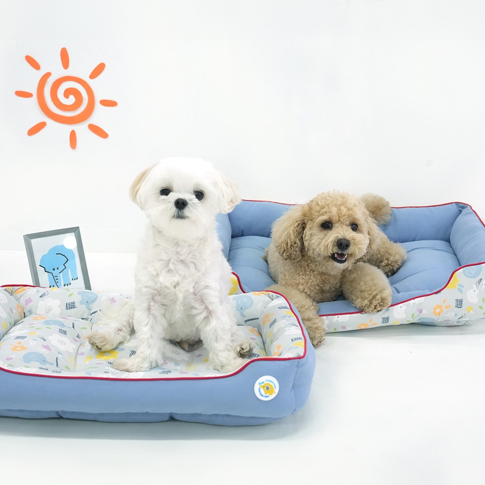 37. BEAR COOL REVERSIBLE BED 首圖