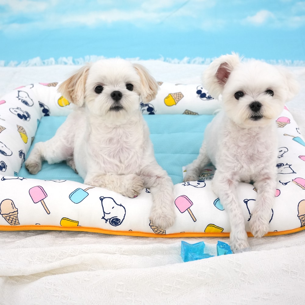 37. BEAR COOL REVERSIBLE BED 首圖