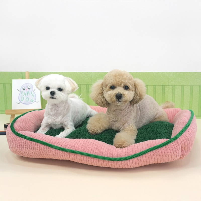 37. BEAR COOL REVERSIBLE BED 首圖 37. BEAR COOL REVERSIBLE BED 首圖