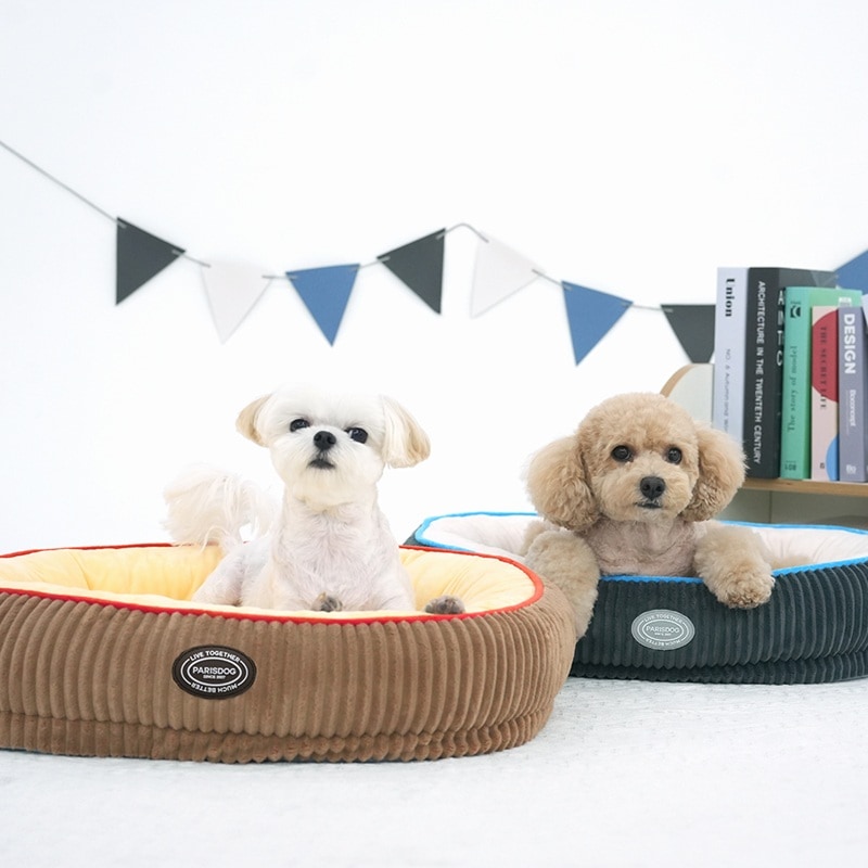 37. BEAR COOL REVERSIBLE BED 首圖