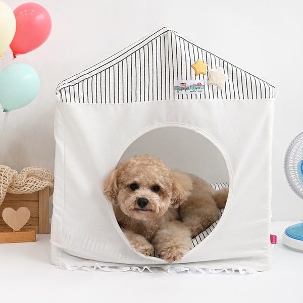 37. BEAR COOL REVERSIBLE BED-廣