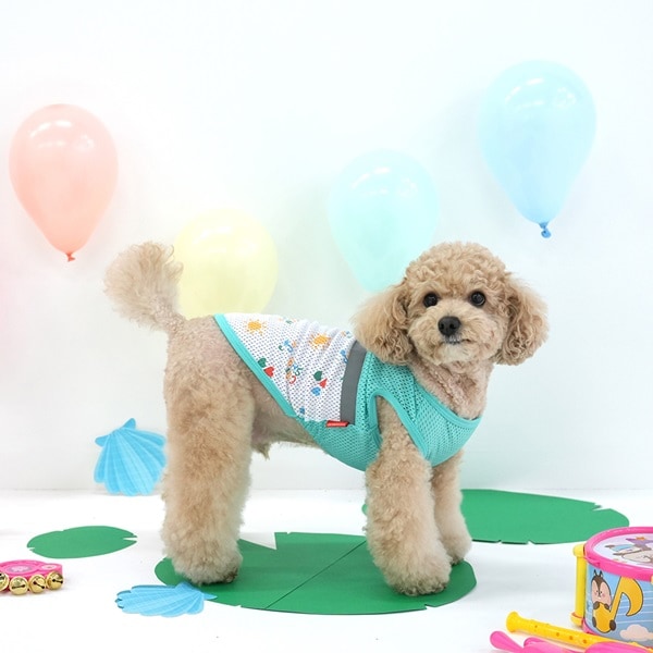 2. LALALA COOL MESH T SHIRT_大廣