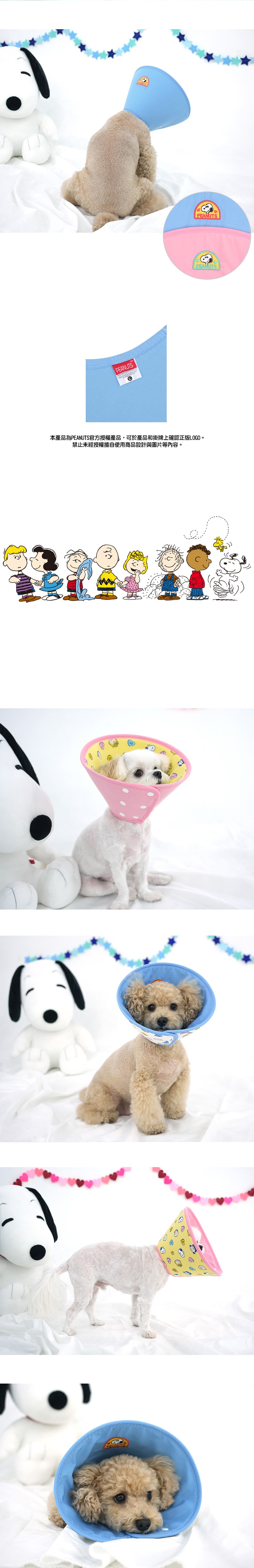 101. 可愛小熊狗狗遮陽帽-2