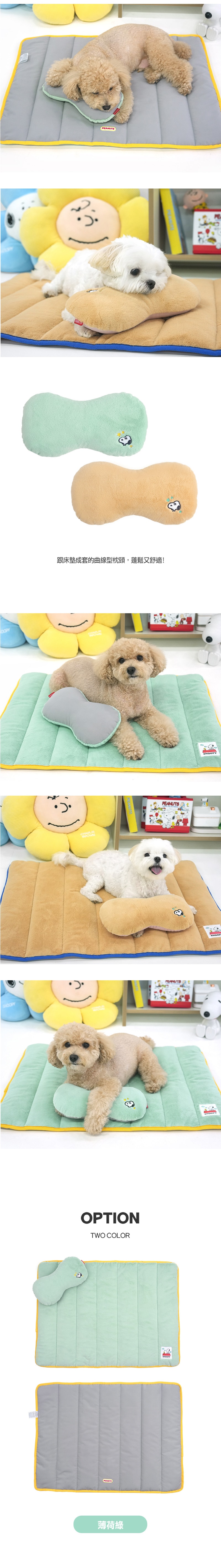 P-89. 史努比夏日格紋寵物涼感床_2