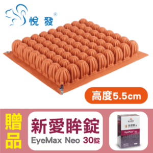 【悅發】浮動座墊 輪椅座墊 氣墊坐墊 (高度5.5公分),贈好禮!