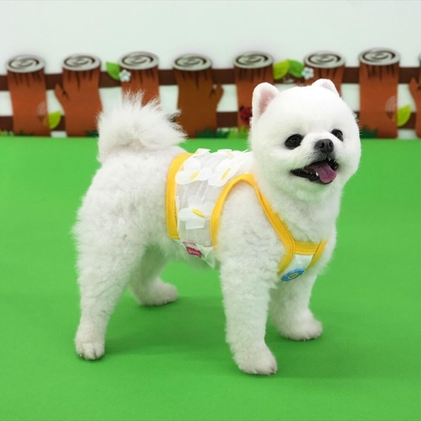 【ParisDog】蝴蝶短版透視背心