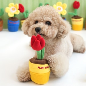 【ParisDog】花園盆栽發聲嗅聞玩具組
