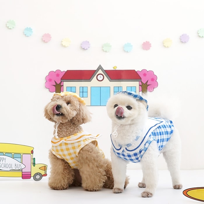 【ParisDog】狗狗幼稚園制服套裝