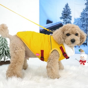 【ParisDog】經典羽絨胸背帶背心 (寵物服飾)