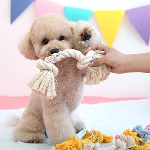 韓國【ParisDog】俏皮純棉繩結玩具-顏色隨機出貨 (寵物玩具)