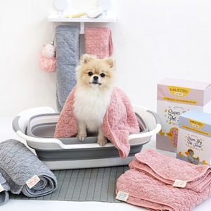 韓國【ParisDog】超速乾細纖維寵物毛巾組