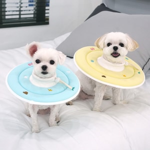 韓國【ParisDog】輕巧可愛伊莉莎白頸圈 寵物頸圈