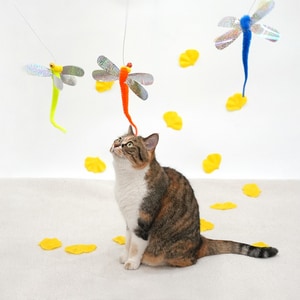 韓國【ParisCat】 閃亮舞動蜻蜓逗貓棒 寵物玩具