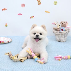 【ParisDog】甜蜜糖果耐咬玩具 (寵物玩具)