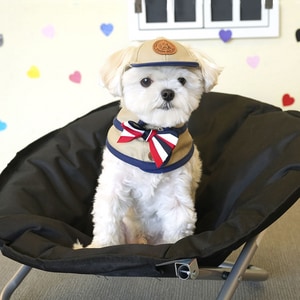 韓國【ParisDog】復古棒球帽狗狗領巾套裝 (寵物服飾 寵物衣服)