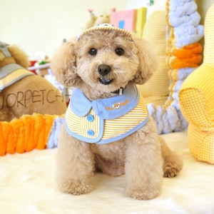 韓國【ParisDog】條紋小熊含帽狗狗領巾套裝 (寵物服飾 寵物衣服)