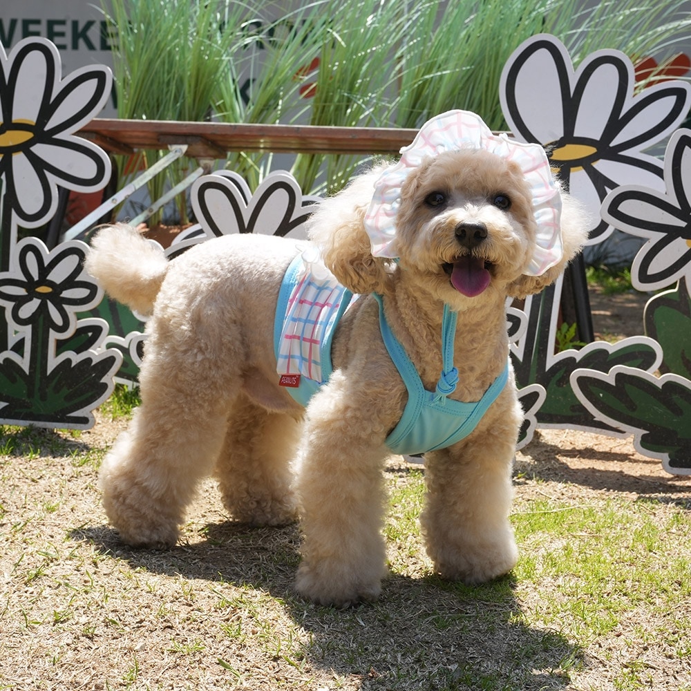 【PEANUTS】史努比格紋防曬短版泳衣 (寵物服飾 寵物衣服)