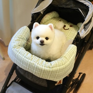 【ParisDog】可愛小熊寵物推車保護墊 (寵物推車座墊)