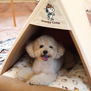 【PEANUTS】史努比童軍露營寵物帳篷小屋 (寵物小屋)