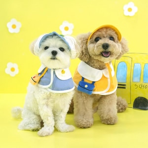 【ParisDog】幼稚園狗狗領巾含帽套裝 (寵物服飾)