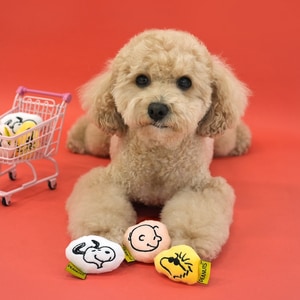 【PEANUTS】史努比75周年迷你發聲啃咬玩具(3入/組)