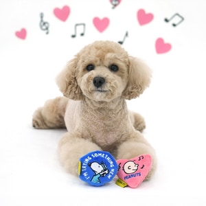 【PEANUTS】史努比75周年好朋友發聲藏食玩具(2入/組) 寵物玩具
