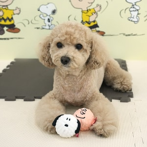 【PEANUTS】史努比互動啾啾玩具球 (寵物玩具)